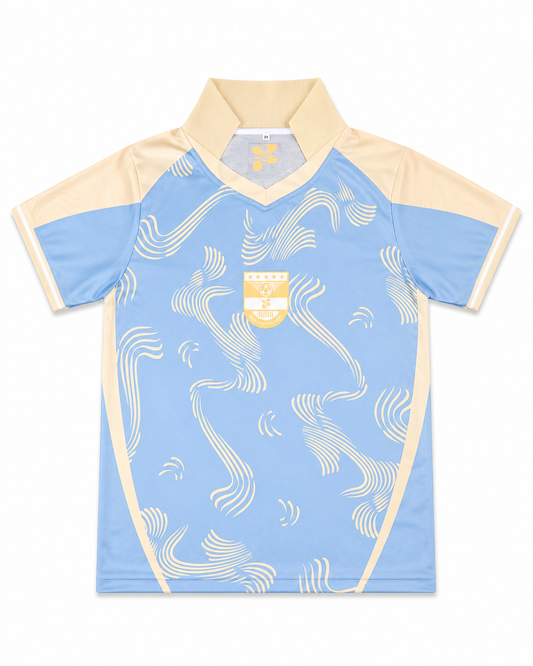DSP Home Jersey(blue)