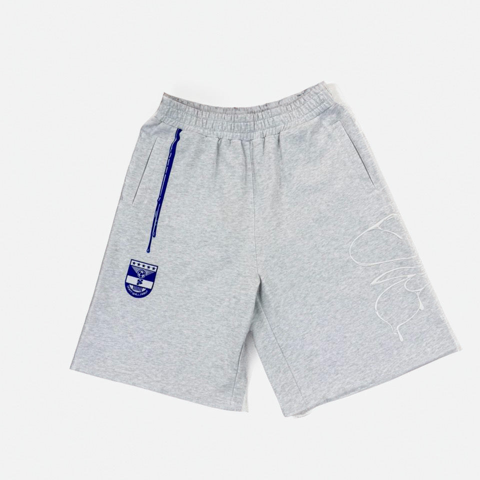 Paint Shorts — Grey