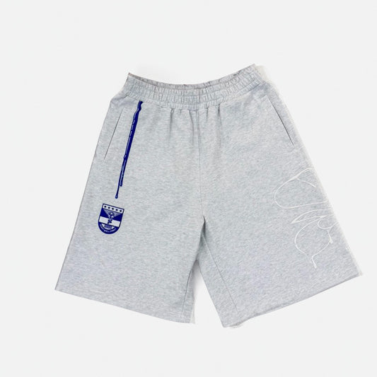 Paint Shorts — Grey